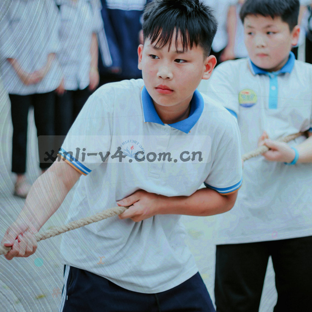 球场中圈与白色标线的抽象俯拍，安静无人的赛场地面